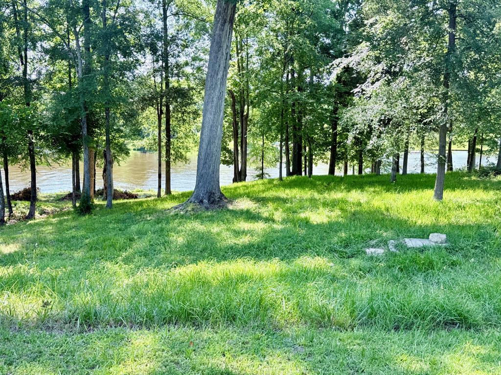 Lot 27 King Circle Honea Path, SC 29654 - Photo 13 of 14
