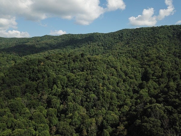 0 Nebo Mountain Road Ceres, VA 24318 - Photo 10 of 33 Gallery Image 10