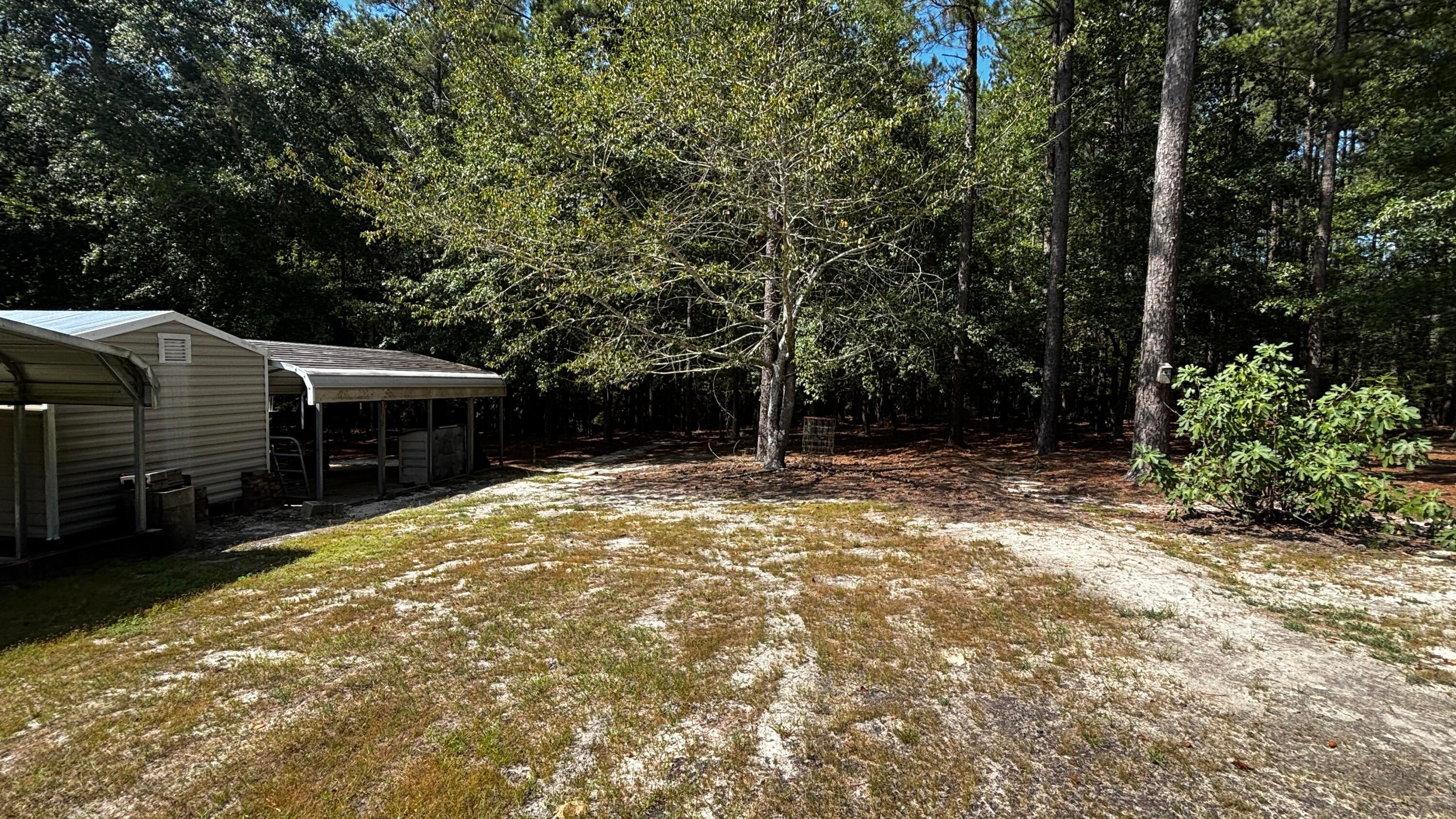 707 Mt Ebal Road Batesburg, SC 29006 - Photo 19 of 21 Gallery Image 19