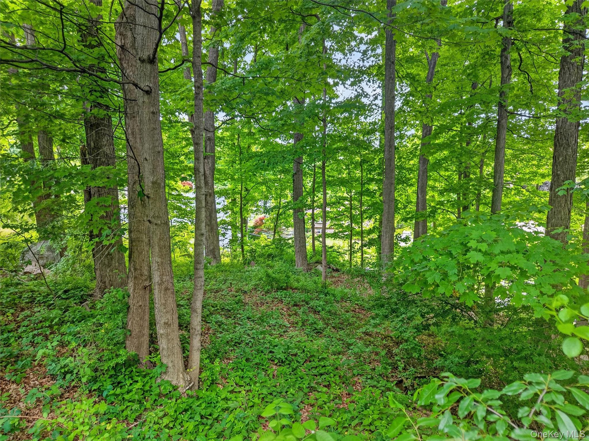 154 Gallows Hill Road Garrison, NY 10524 - Photo 6 of 9