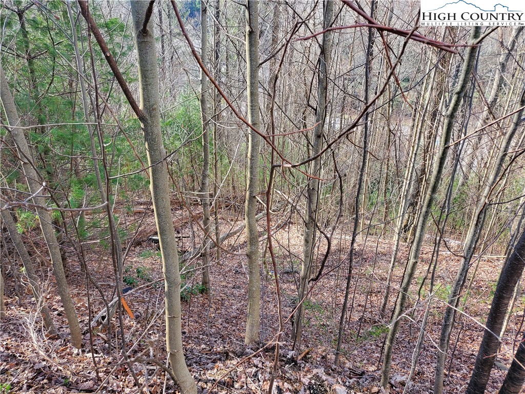 128 Bryce Way Boone, NC 28607 - Photo 4 of 6