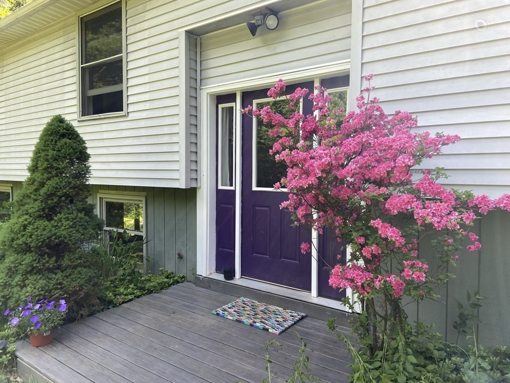 296 Wendell Road Shutesbury, MA 01072 - Photo 2 of 31 Gallery Image 2