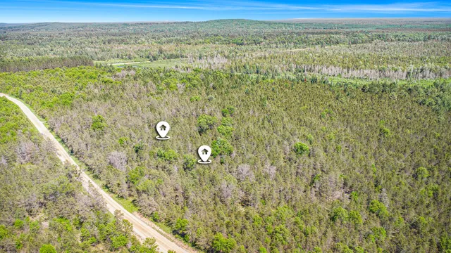$19,900 | V/l(2.07-a) Deep Wood Road, Roscommon, MI 48653