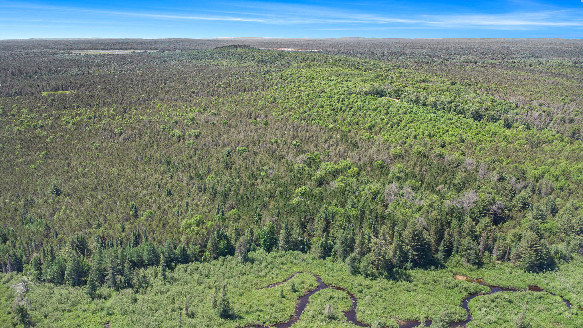 V/l(2.07-a) Deep Wood Road Roscommon, MI 48653 - Photo 14 of 20 014