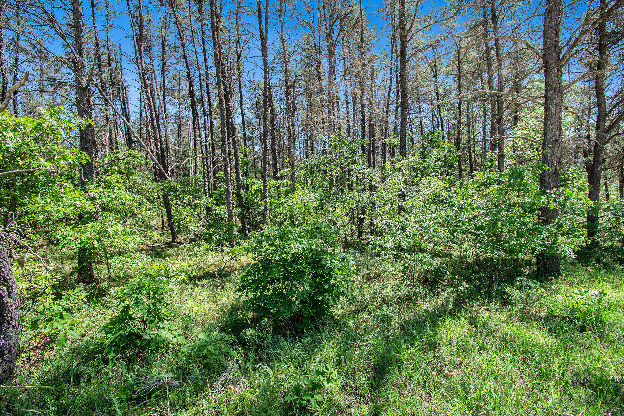 V/l(2.07-a) Deep Wood Road Roscommon, MI 48653 - Photo 16 of 20 016