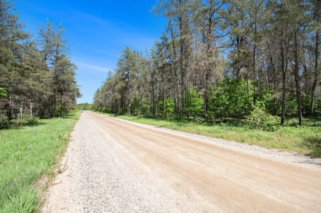 $19,900 | V/l(2.07-a) Deep Wood Road, Roscommon, MI 48653