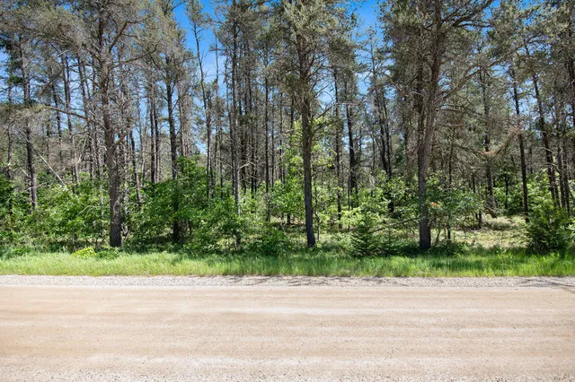 $19,900 | V/l(2.07-a) Deep Wood Road, Roscommon, MI 48653