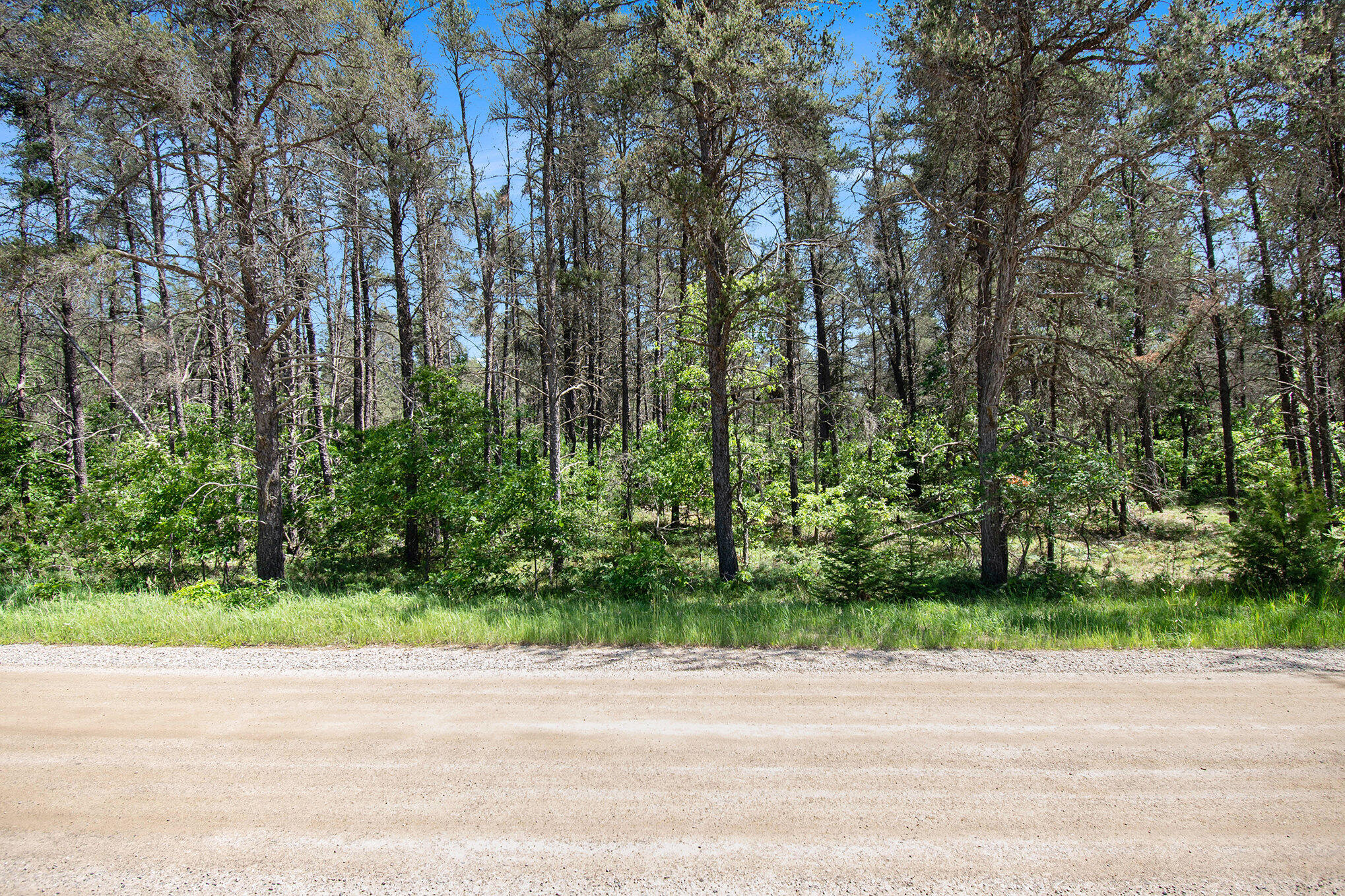 V/l(2.07-a) Deep Wood Road Roscommon, MI 48653 - Photo 2 of 20 02