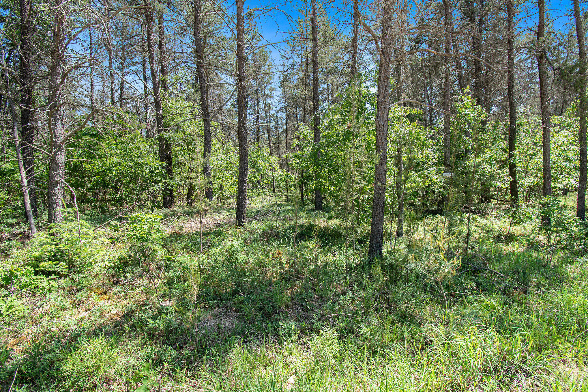 V/l(2.07-a) Deep Wood Road Roscommon, MI 48653 - Photo 3 of 20 03