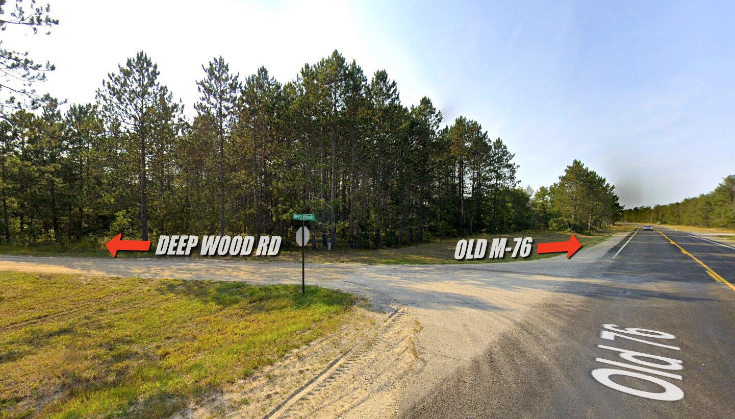 V/l(2.07-a) Deep Wood Road Roscommon, MI 48653 - Photo 4 of 20 04