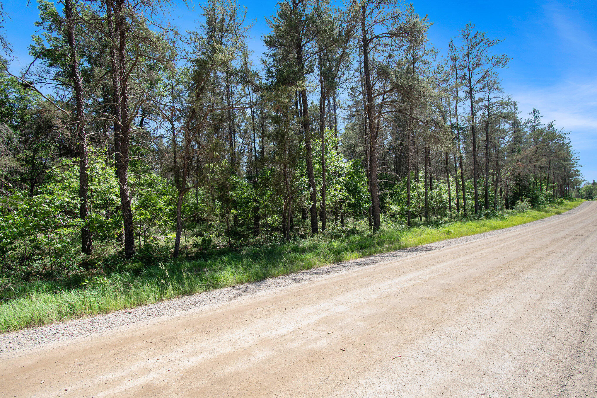 V/l(2.07-a) Deep Wood Road Roscommon, MI 48653 - Photo 6 of 20 06