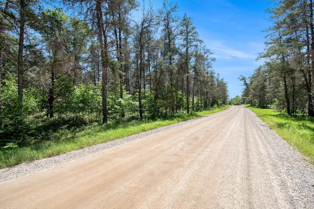 $19,900 | V/l(2.07-a) Deep Wood Road, Roscommon, MI 48653