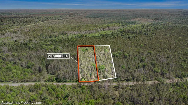 $19,900 | V/l(2.07-a) Deep Wood Road, Roscommon, MI 48653