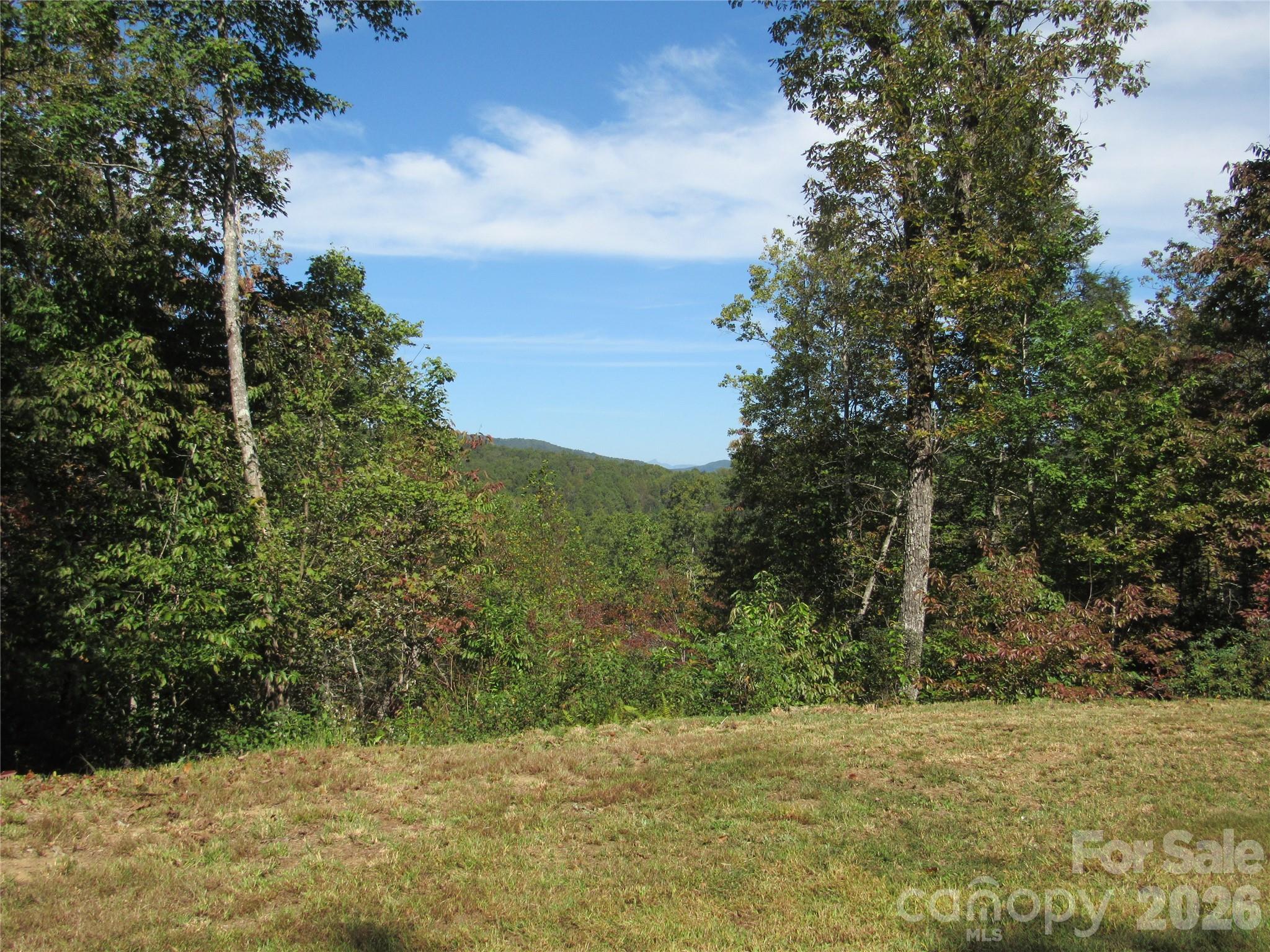 150 Summer's Way Marion, NC 28752 - Photo 2 of 6 a view of a yard with an trees