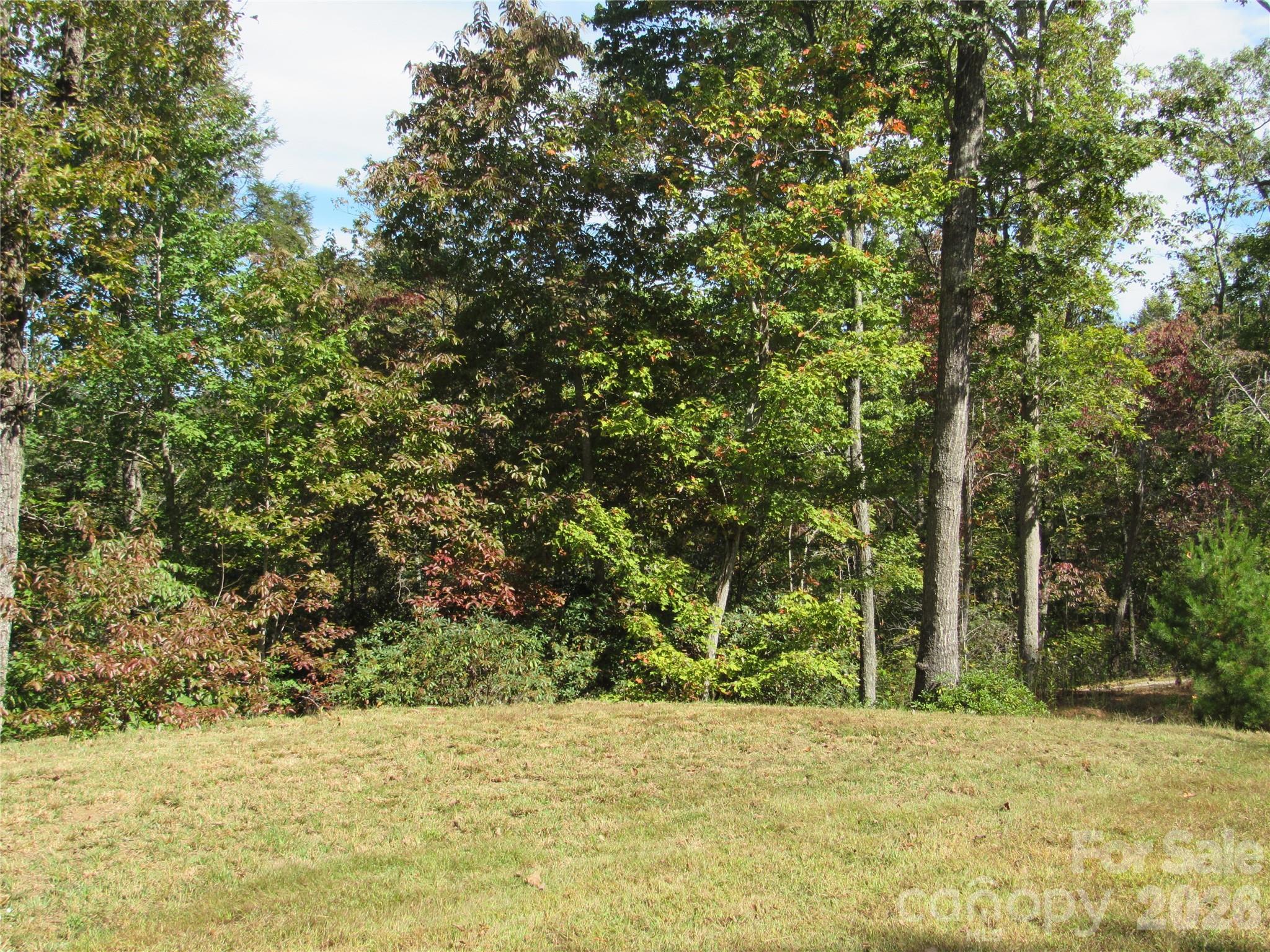 150 Summer's Way Marion, NC 28752 - Photo 4 of 6 a view of a field with trees in the background