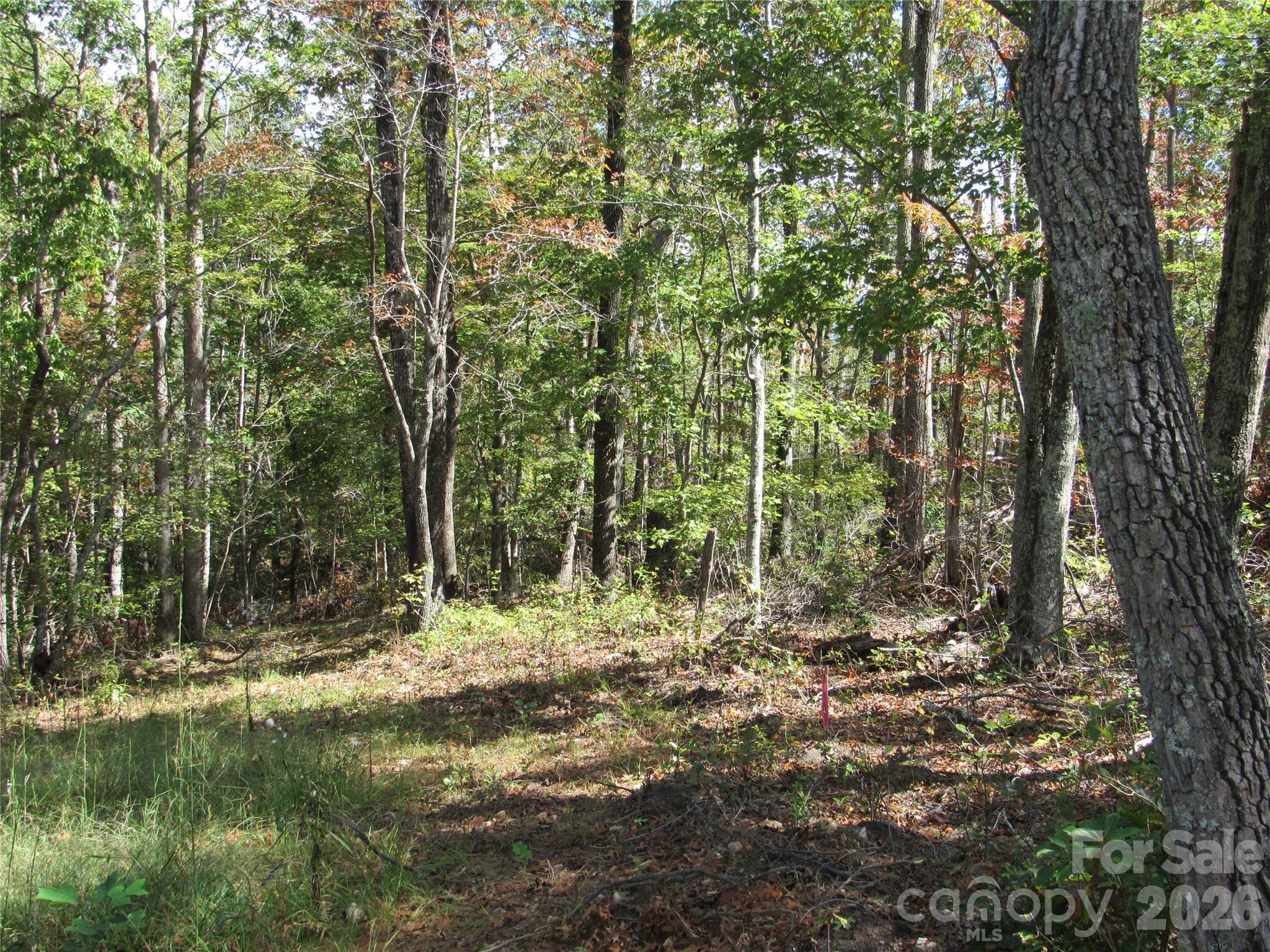 150 Summer's Way Marion, NC 28752 - Photo 6 of 6 a view of outdoor space with trees