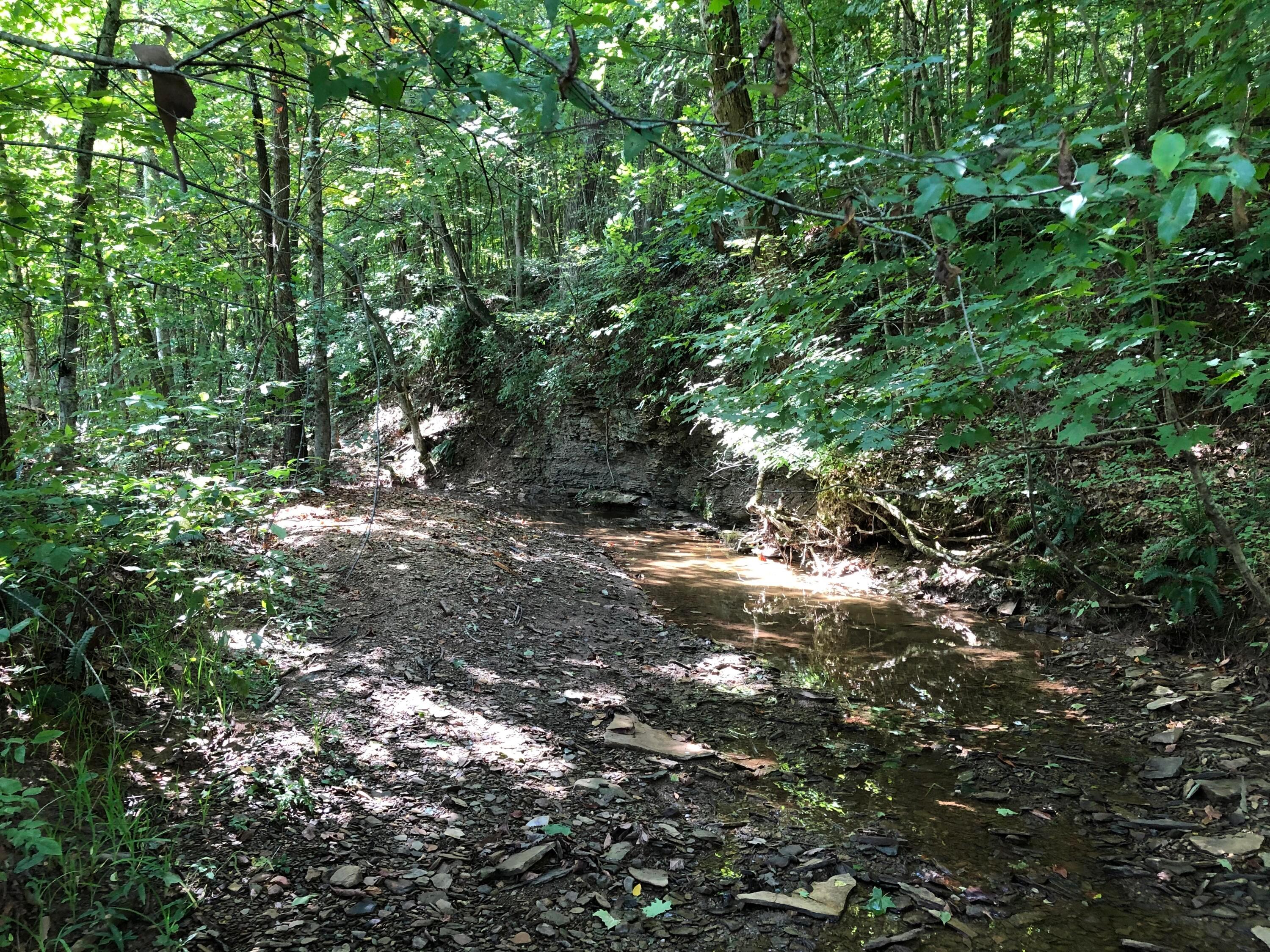 0 Briar Ridge Road Langsville, OH 45741 - Photo 11 of 18 7-creek toward left border
