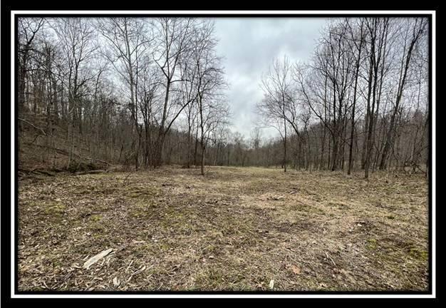 35471 Buck Run Road Langsville, OH 45741 - Photo 21 of 32