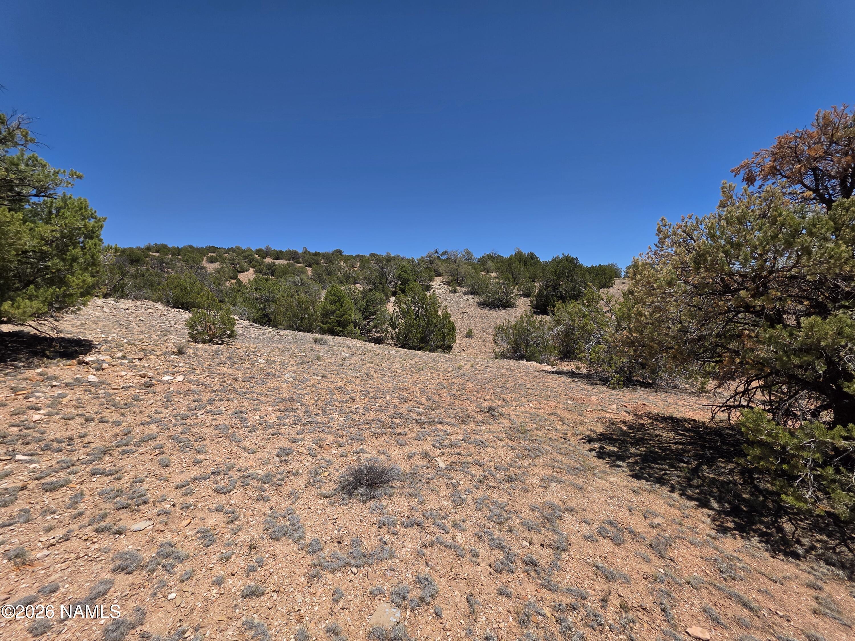 9966 Northstar Road Williams, AZ 86046 - Photo 8 of 37 1000065014