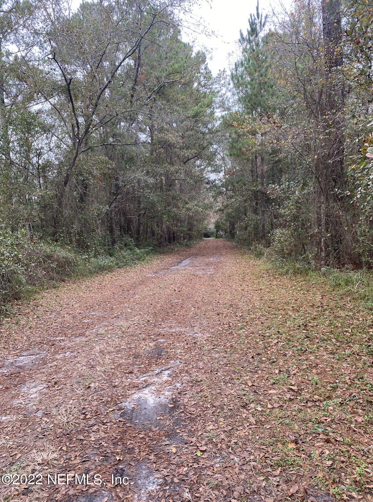 7780 Townsend Road Jacksonville, FL 32244 - Photo 2 of 7 Road to the land