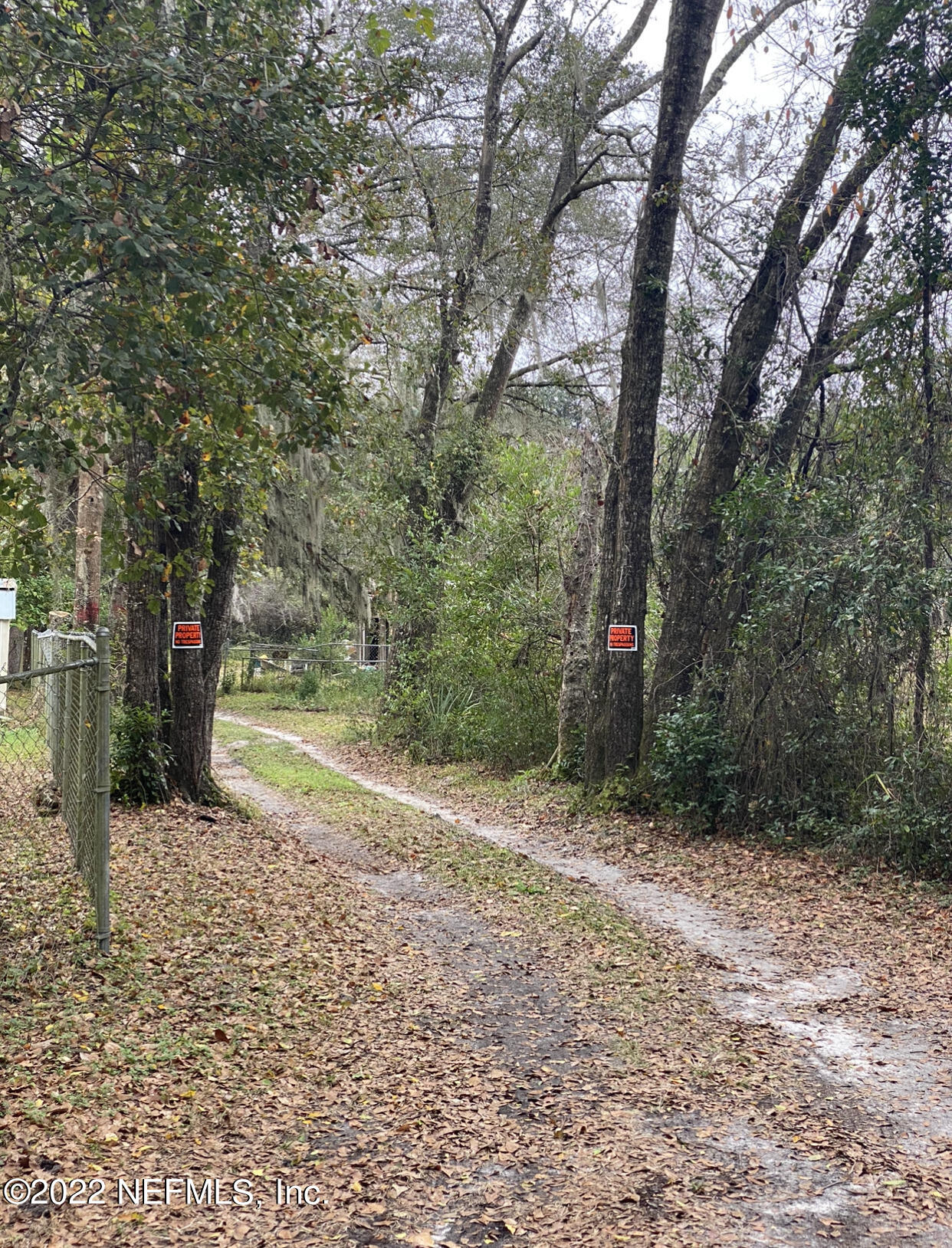 7780 Townsend Road Jacksonville, FL 32244 - Photo 4 of 7 Land continues after the 2 trees