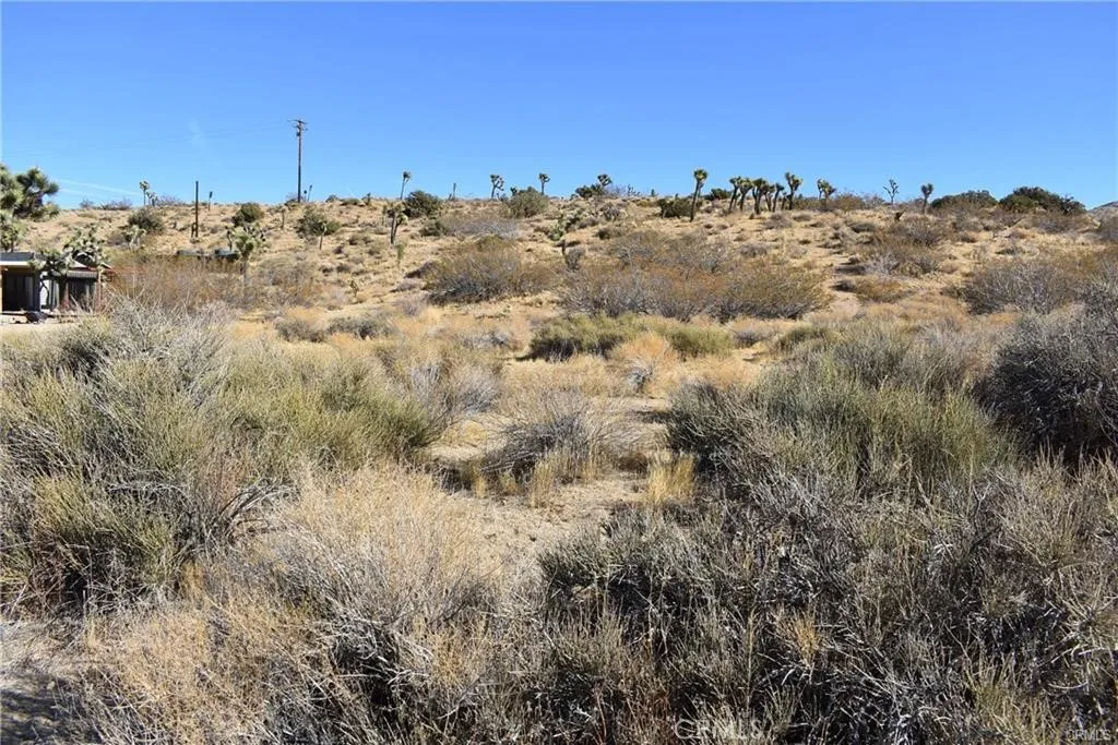 1 Indio Yucca Valley Yucca Valley, CA 92284 - Photo 4 of 7 a view of a building