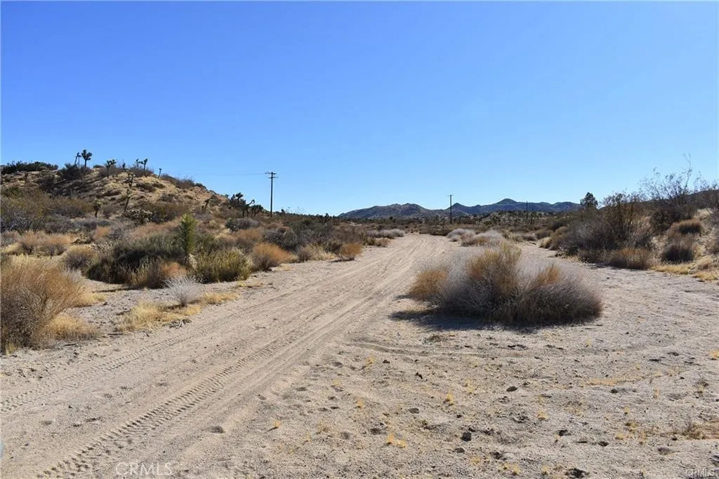 1 Indio Yucca Valley Yucca Valley, CA 92284 - Photo 5 of 7 a view of a dry yard with a large tree