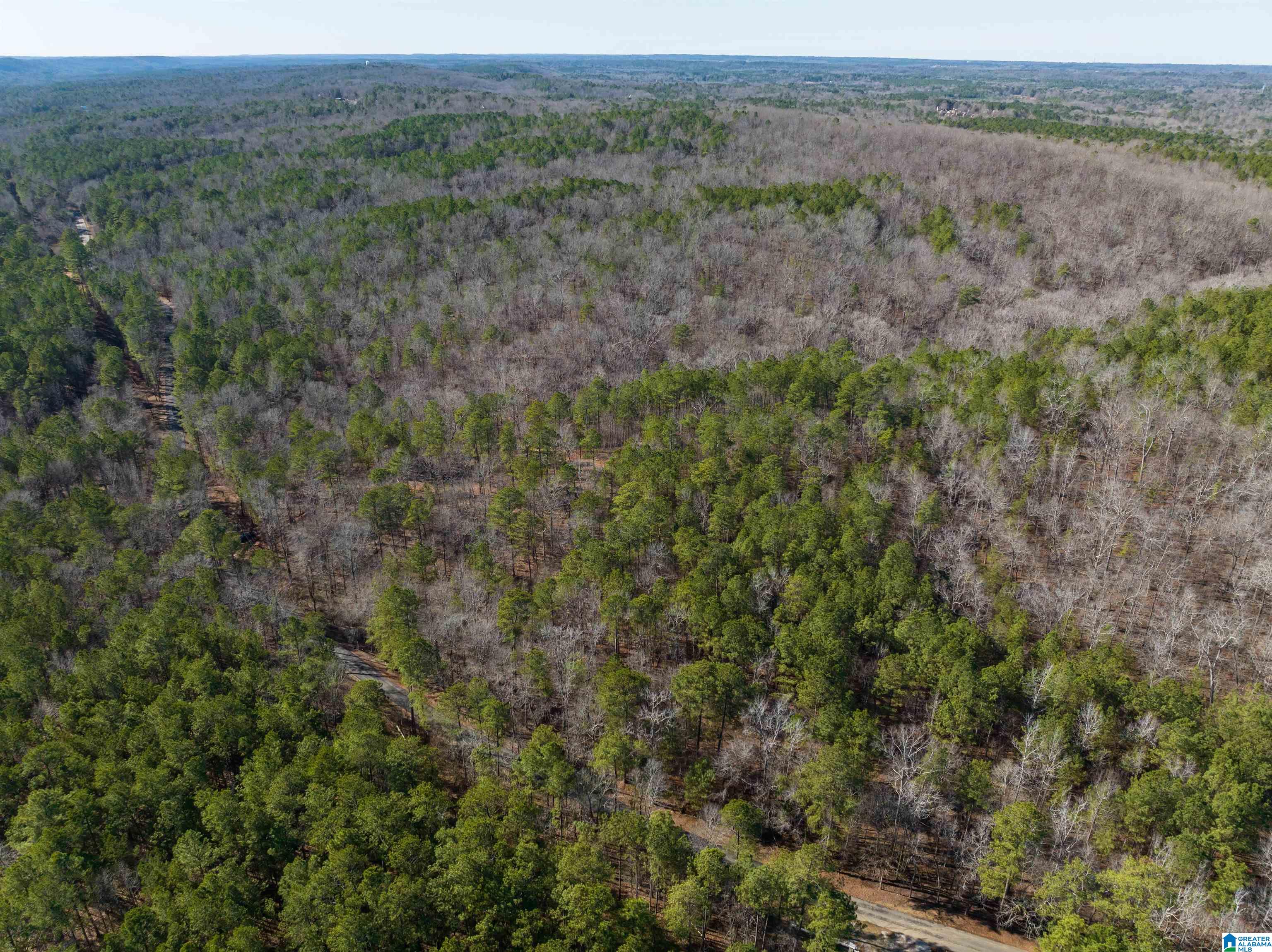 3659 McClendon Chapel Road, Unit 2 Bessemer, AL 35022 - Photo 24 of 44