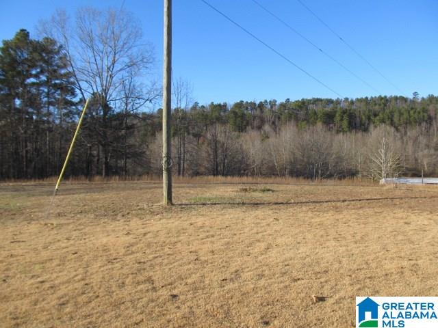 3371 Vaughn Road Altoona, AL 35952 - Photo 28 of 33