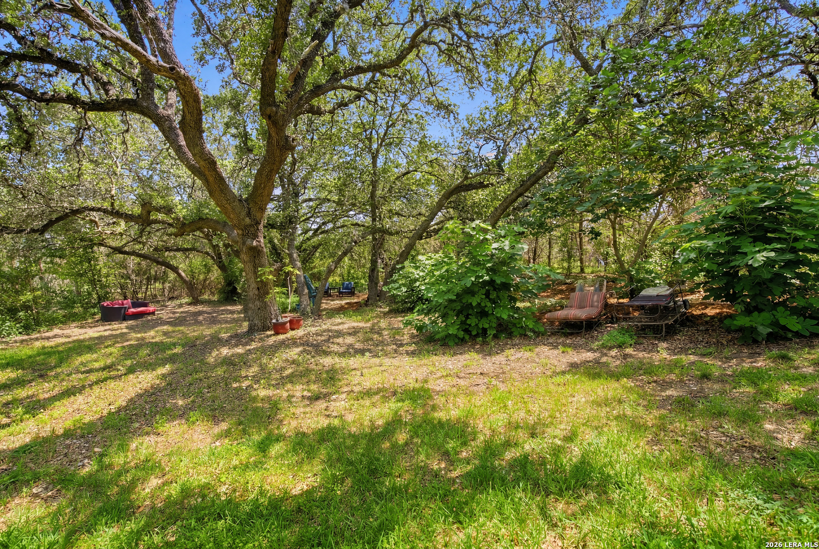 30330 Saddle Ridge Drive Bulverde, TX 78163 - Photo 35 of 48