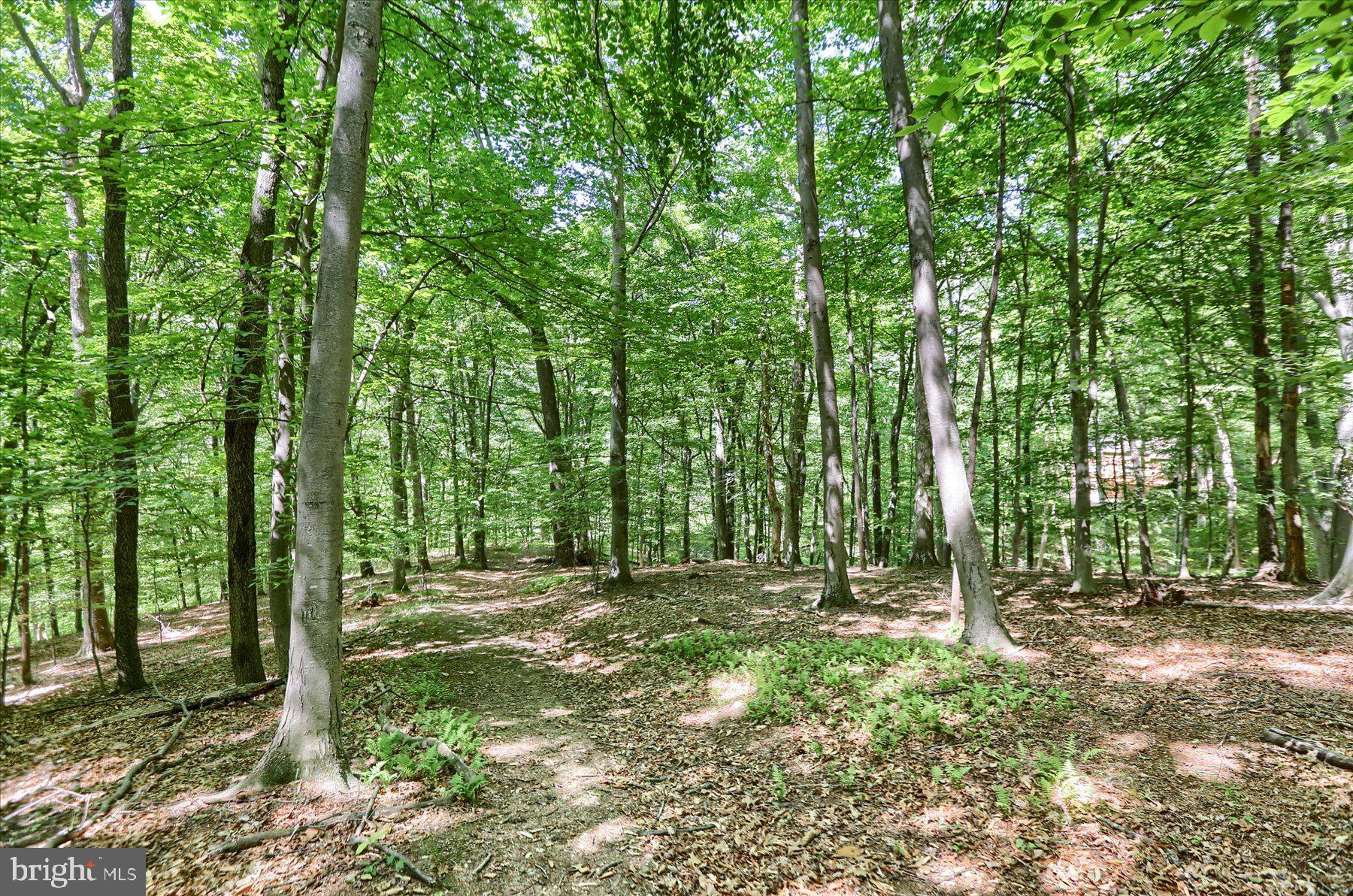 20 Clearview Road Willow Street, PA 17584 - Photo 45 of 51 Gallery Image 45