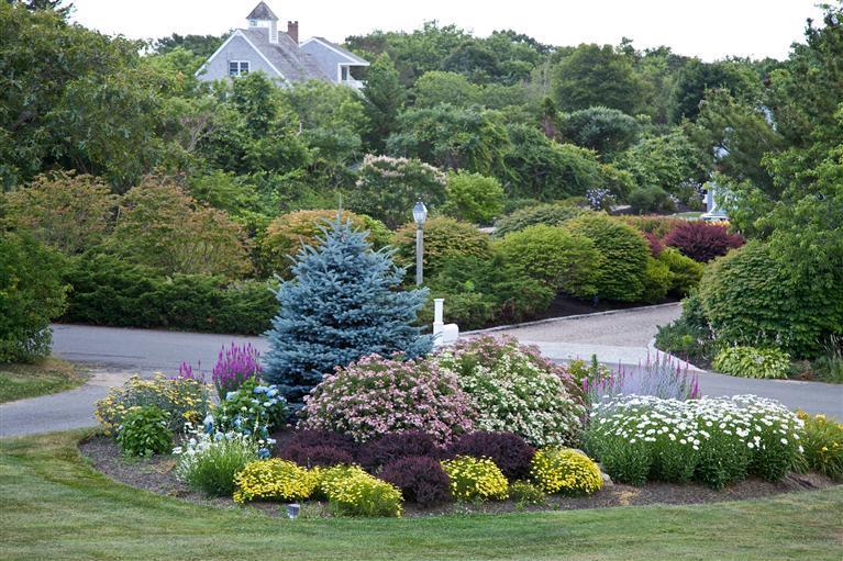 38 Torrey Road East Sandwich, MA 02537 - Photo 23 of 29 Additional Photo