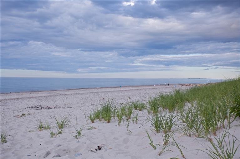 38 Torrey Road East Sandwich, MA 02537 - Photo 28 of 29 Additional Photo