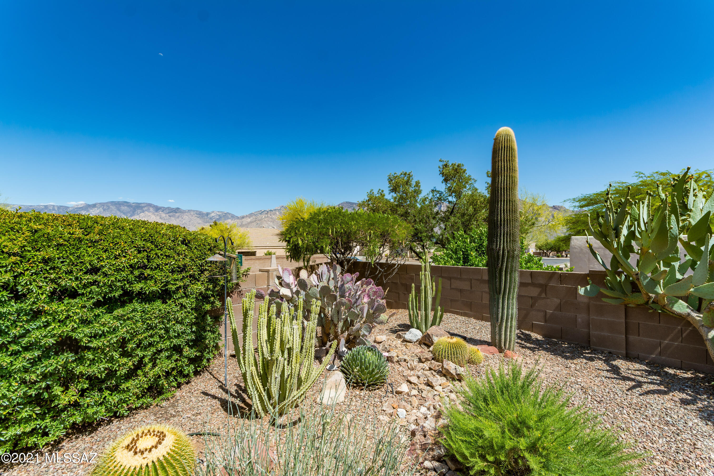 385 West Ridge Peak Road Oro Valley, AZ 85737 - Photo 1 of 26 Gallery Image 1