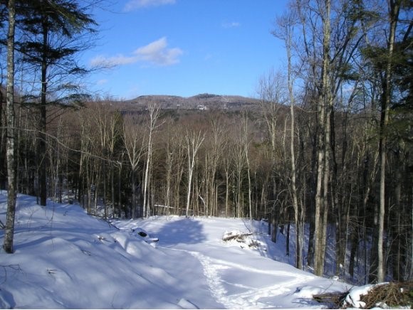 11 Hiddenwood Road Fayston, VT 05673 - Photo 1 of 1 Gallery Image 1