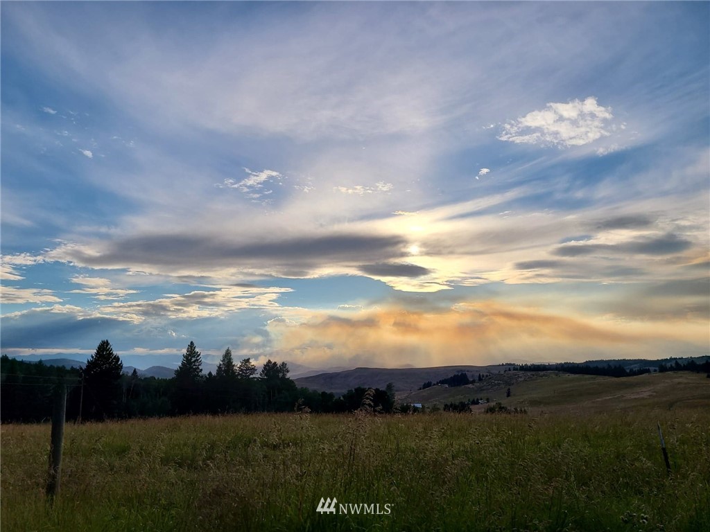 0 Davies Road Oroville, WA 98844 - Photo 2 of 40 Gallery Image 2