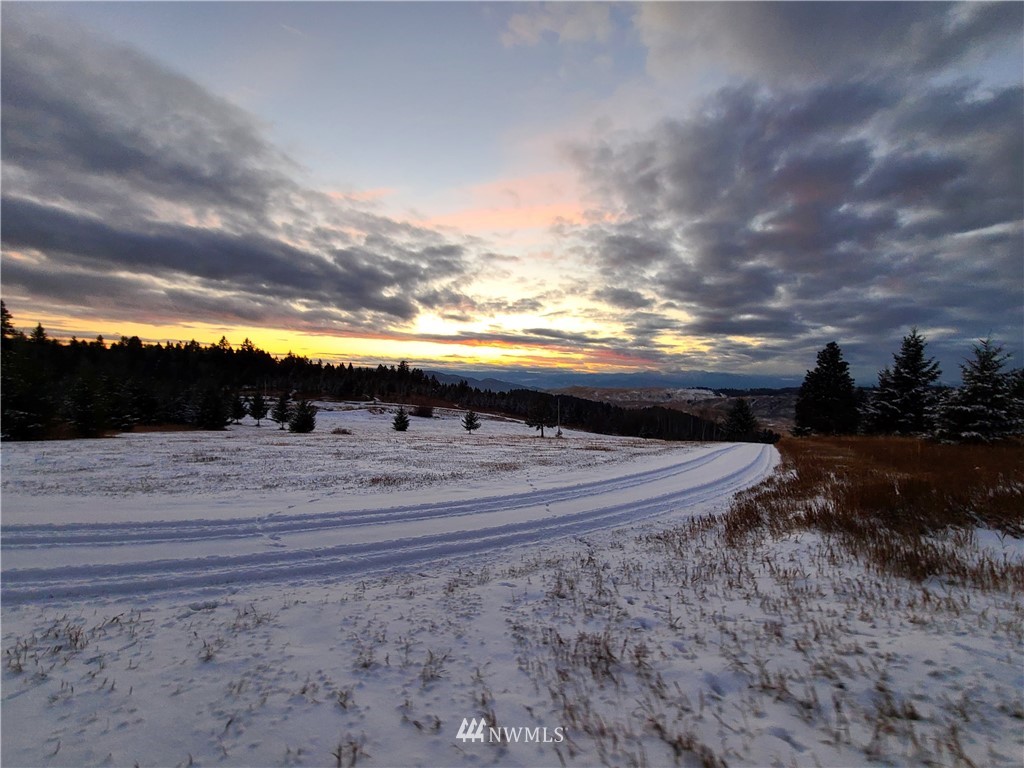0 Davies Road Oroville, WA 98844 - Photo 11 of 40 Gallery Image 11