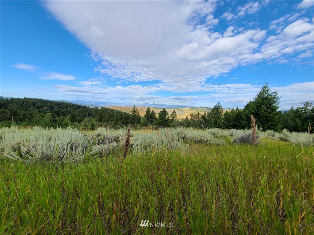 0 Davies Road Oroville, WA 98844 - Photo 25 of 40 Gallery Image 25