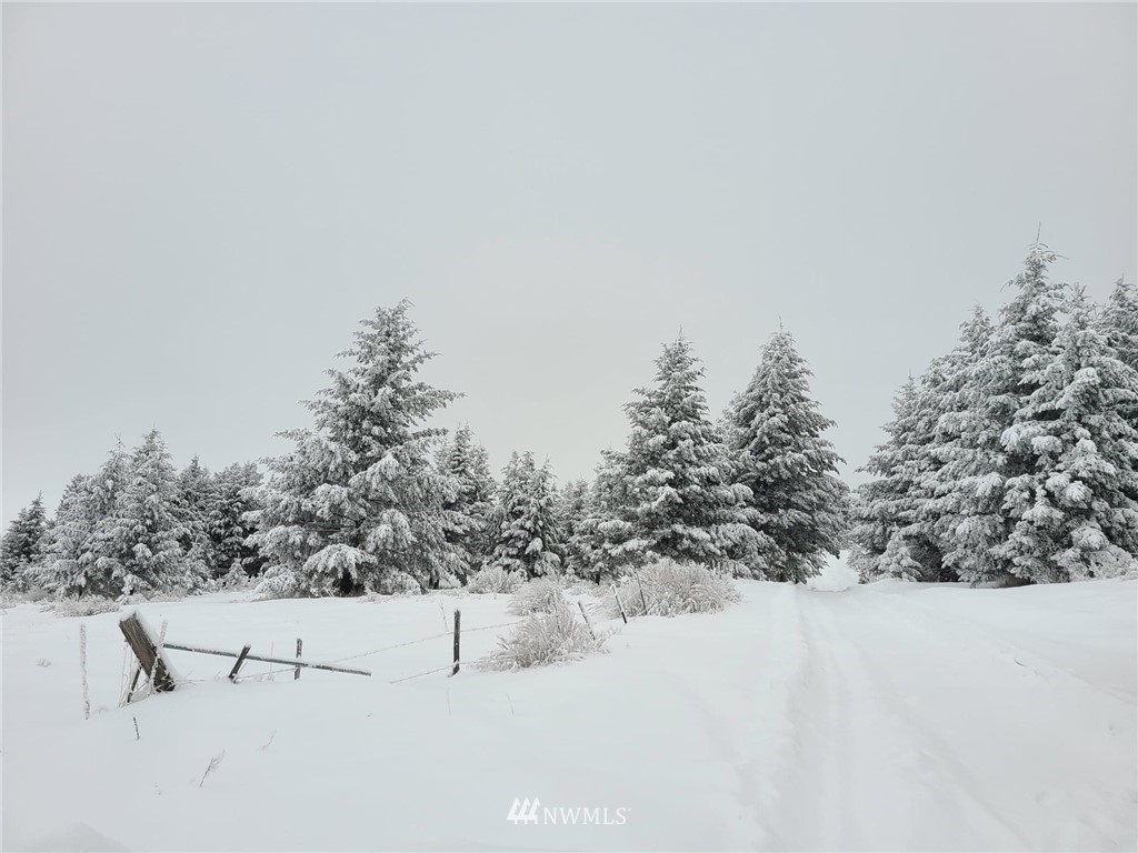 0 Davies Road Oroville, WA 98844 - Photo 27 of 40 Gallery Image 27