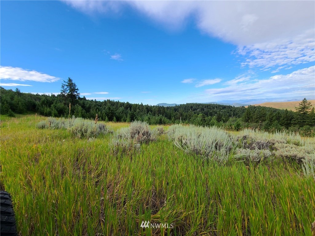 0 Davies Road Oroville, WA 98844 - Photo 29 of 40 Gallery Image 29