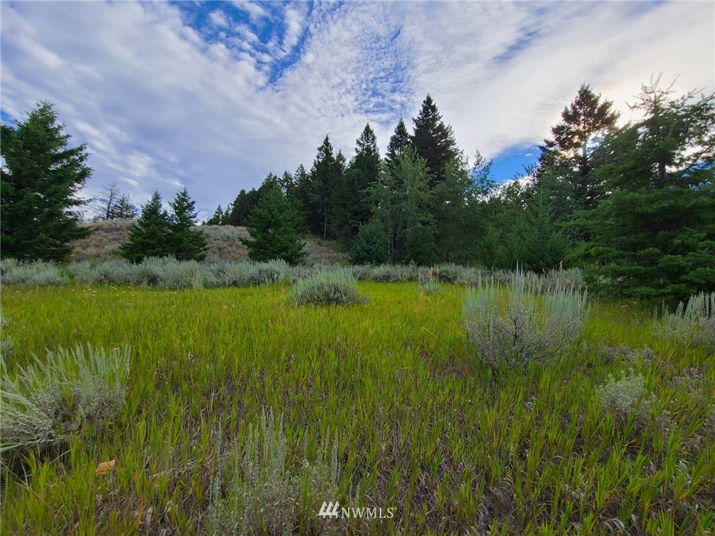 0 Davies Road Oroville, WA 98844 - Photo 30 of 40 Gallery Image 30
