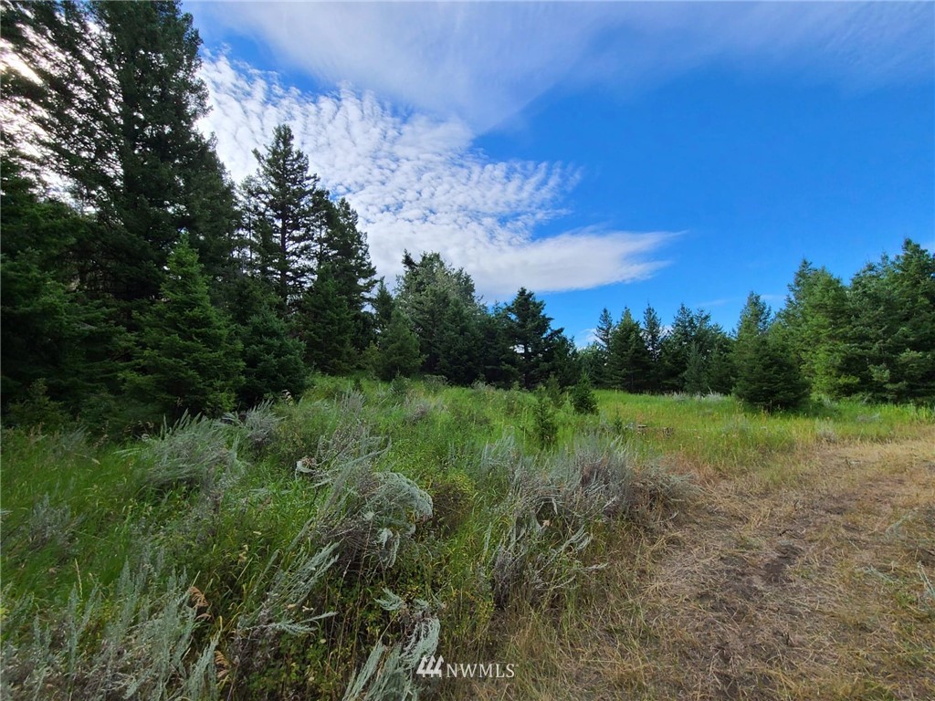 0 Davies Road Oroville, WA 98844 - Photo 35 of 40 Gallery Image 35
