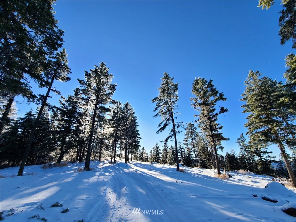 0 Davies Road Oroville, WA 98844 - Photo 6 of 40 Gallery Image 6