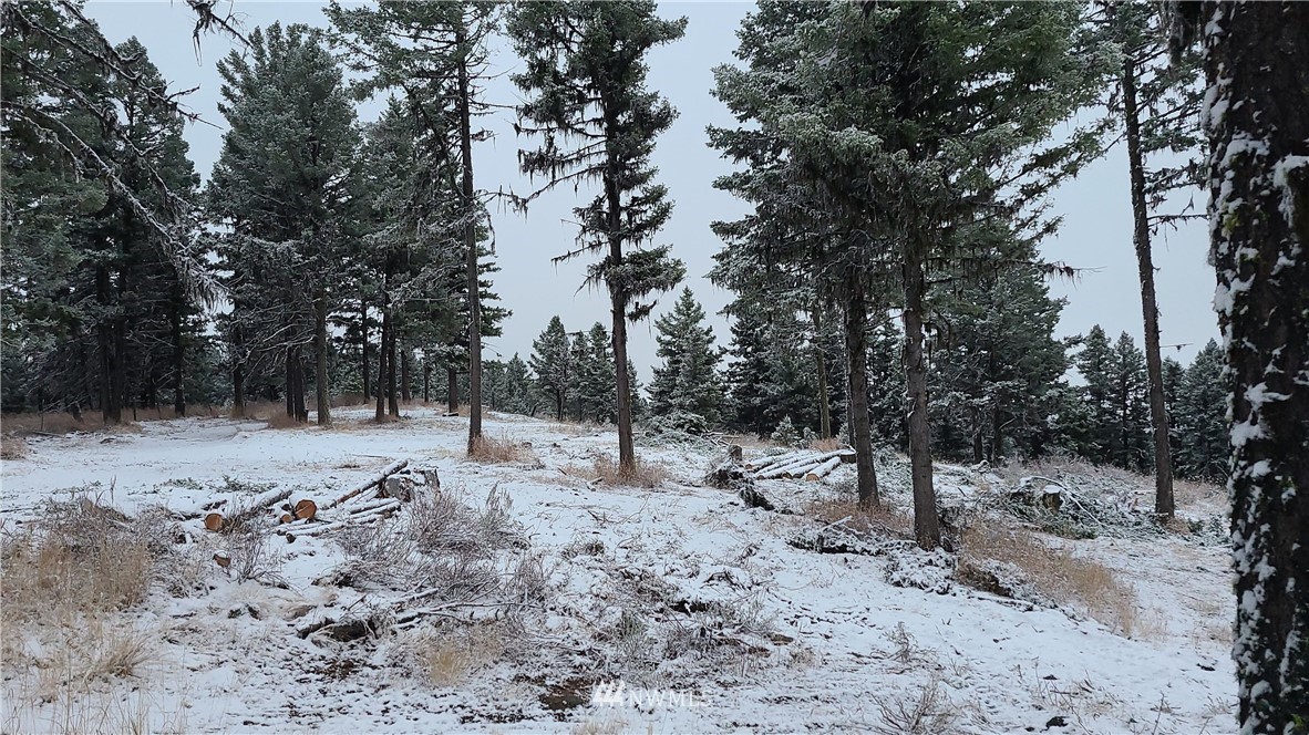 0 Davies Road Oroville, WA 98844 - Photo 7 of 40 Gallery Image 7