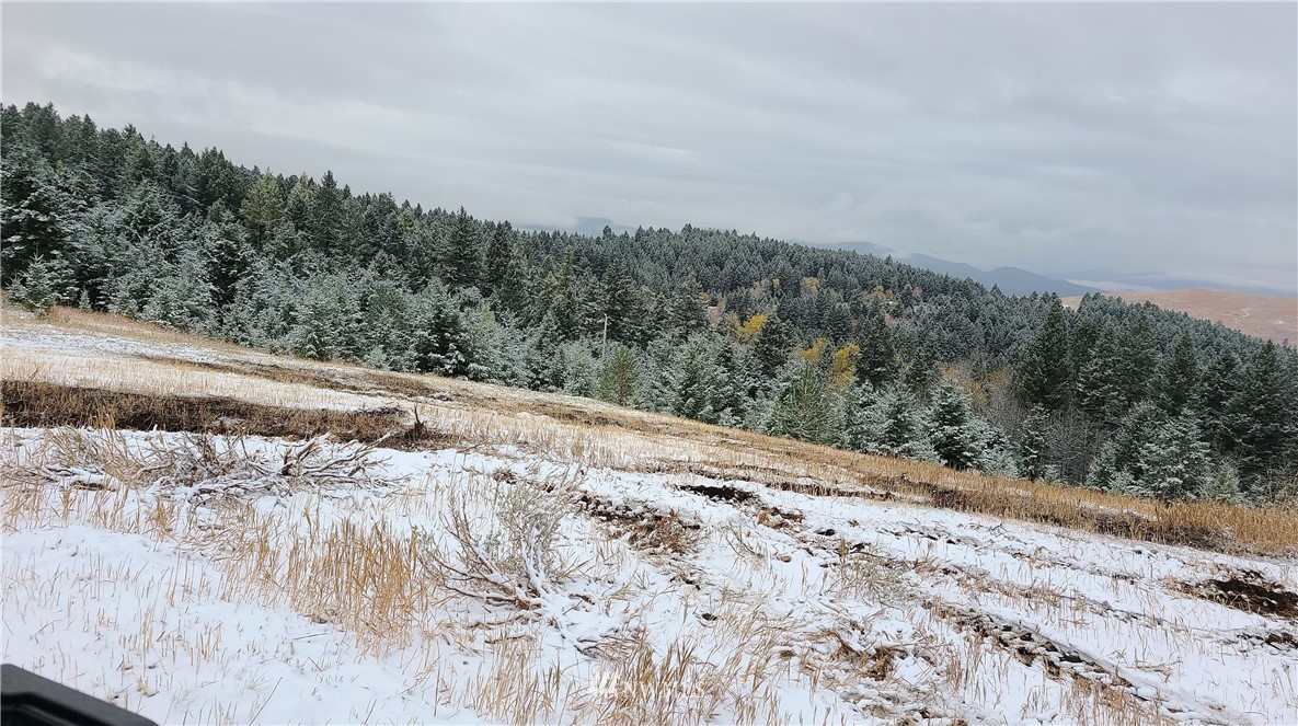 0 Davies Road Oroville, WA 98844 - Photo 8 of 40 Gallery Image 8