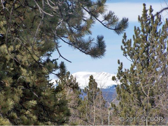 2510 Singletree Road Hartsel, CO 80449 - Photo 1 of 1 Gallery Image 1
