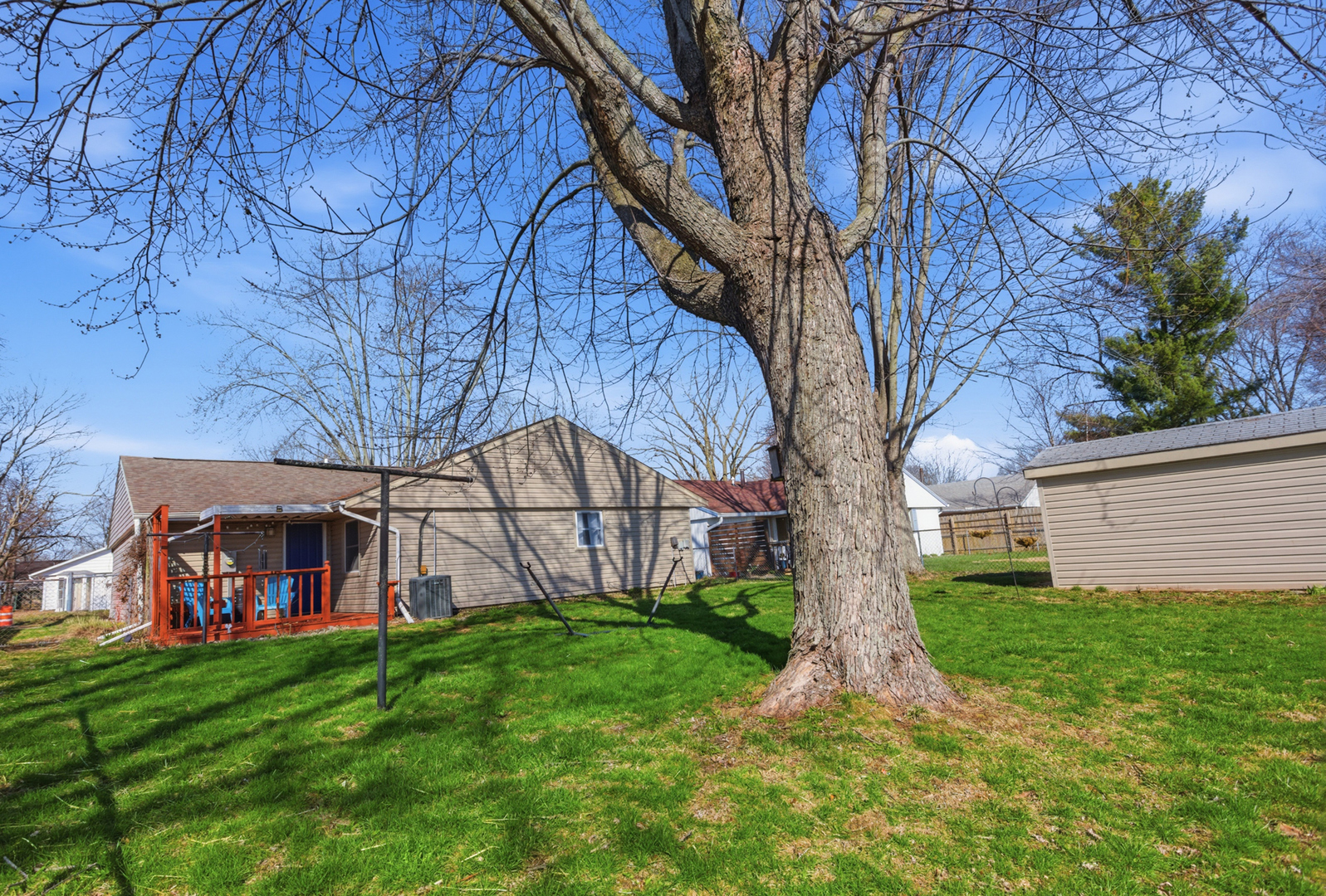 1412 South 2nd Street Mattoon, IL 61938 - Photo 16 of 20 a view of a backyard with large trees