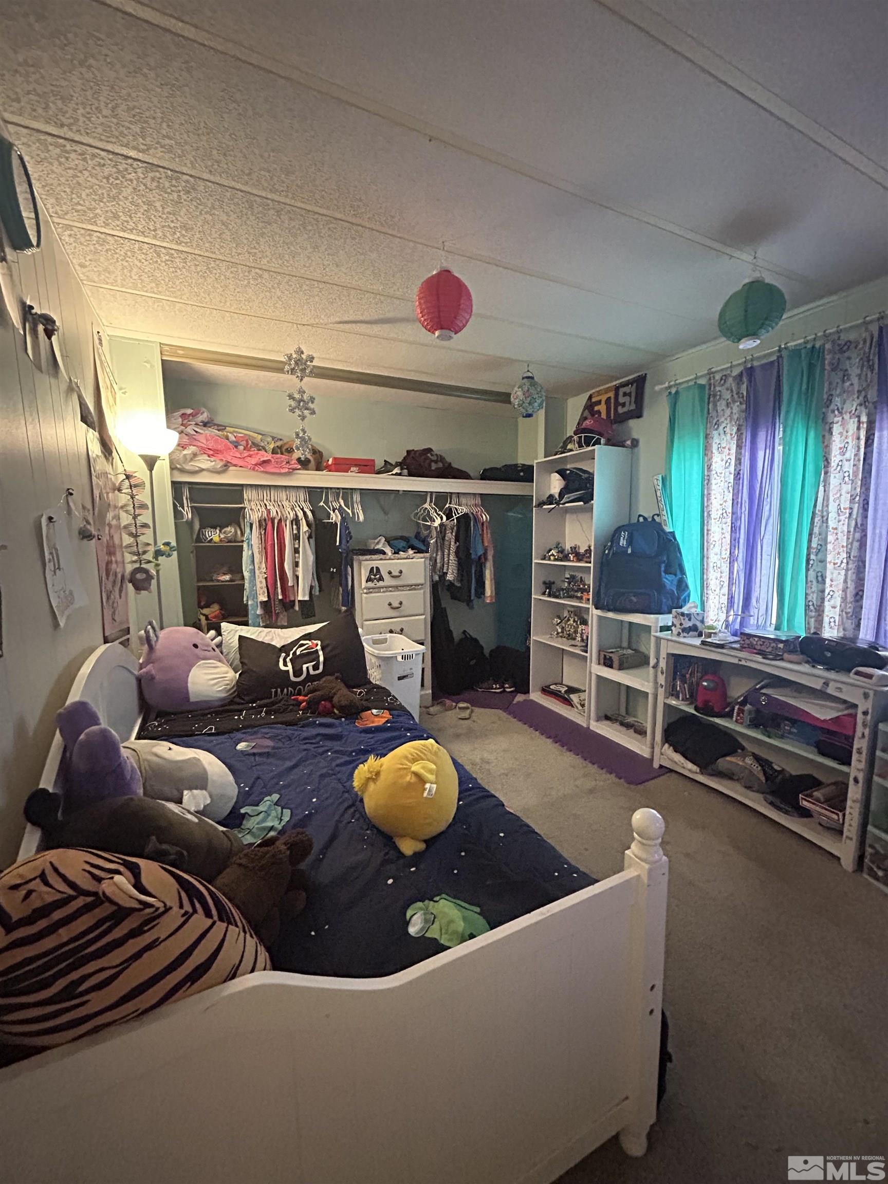 212 Coons Circle, Unit E Dayton, NV 89403 - Photo 13 of 20 a room with furniture and a flat screen tv