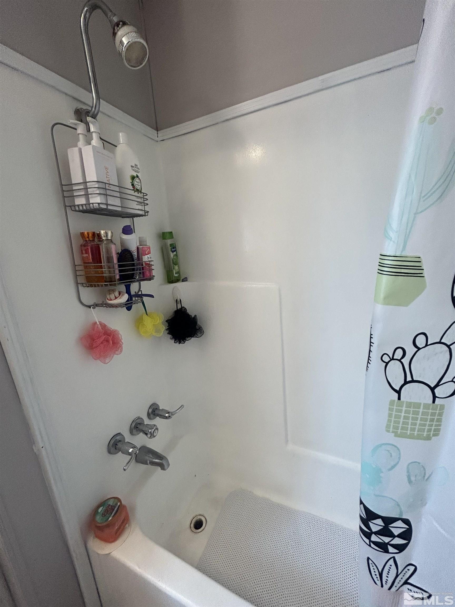 212 Coons Circle, Unit E Dayton, NV 89403 - Photo 15 of 20 a bathroom with a bathtub and shower