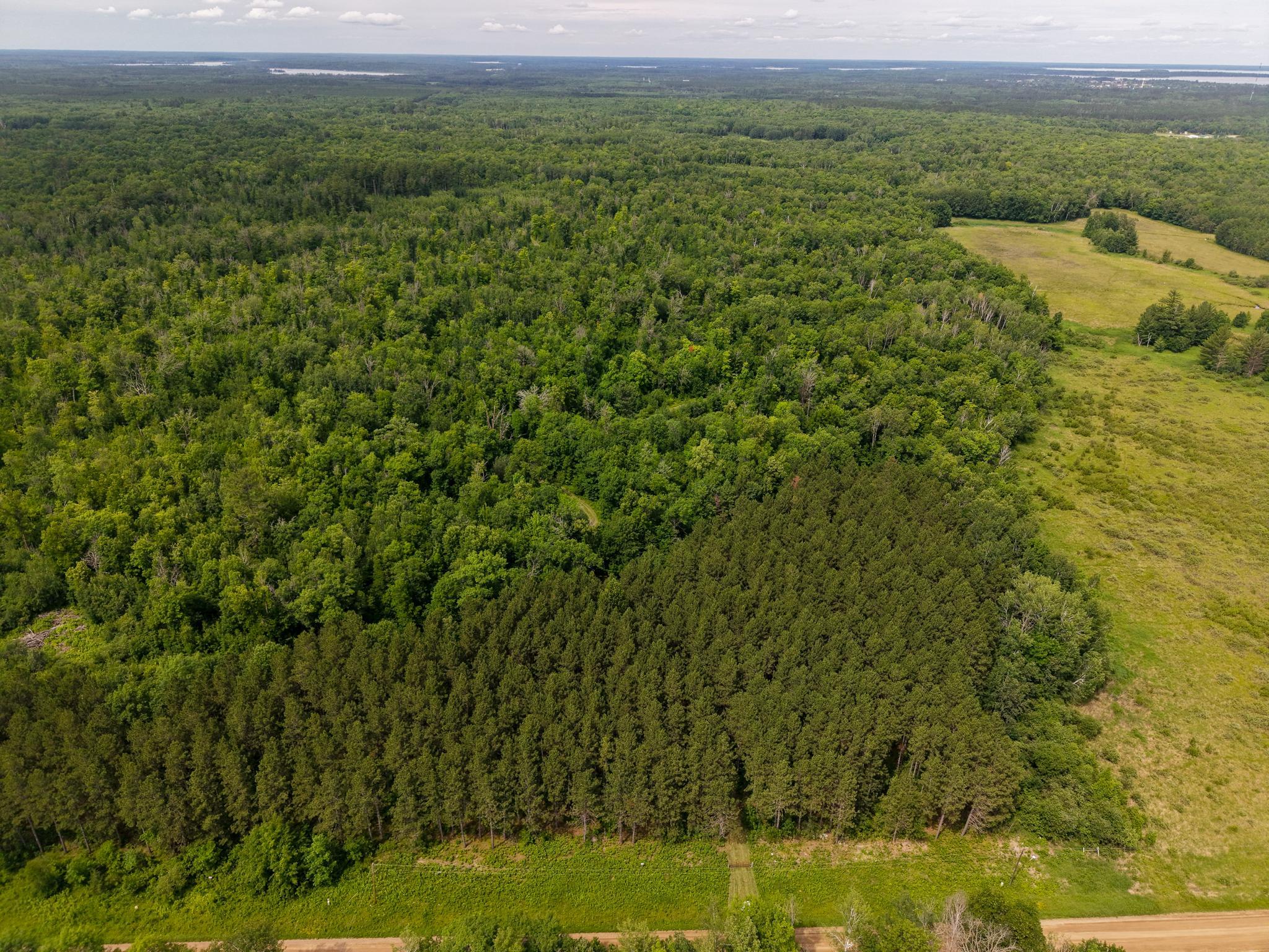 80-acres Pike Bay Loop Road Northwest Cass Lake, MN 56633 - Photo 7 of 27